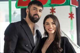 engin akyürek demet özdemir