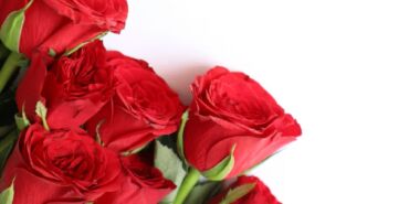 14 Şubat Sevgililer Günü yaklaşırken kırmızı gül fiyatlarında artış!