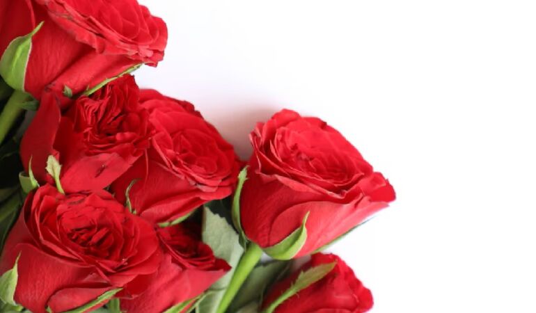 14 Şubat’a doğru: Aşk ne ister? Sadakat ve…