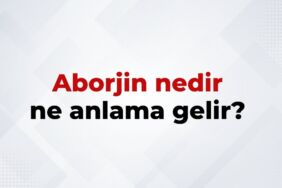 Aborjin nedir, ne anlama gelir Aborjin kelimesinin TDK sözlük anlamı