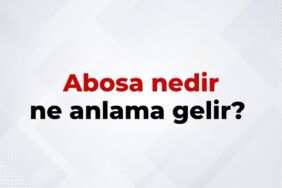 Abosa nedir, ne anlama gelir Abosa kelimesinin TDK sözlük anlamı