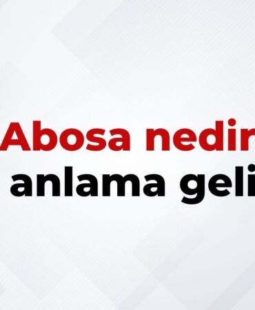 Abosa nedir, ne anlama gelir Abosa kelimesinin TDK sözlük anlamı