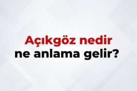 Açıkgöz Nedir, Ne Anlama Gelir Açıkgöz Kelimesinin TDK Sözlük Anlamı