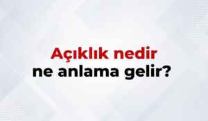 Açıklık Nedir, Ne Anlama Gelir Açıklık Kelimesinin TDK Sözlük Anlamı