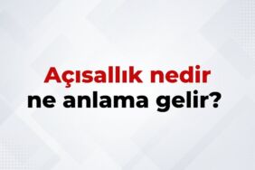 Açısallık Nedir, Ne Anlama Gelir Açısallık Kelimesinin TDK Sözlük Anlamı