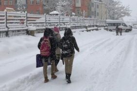 Adıyaman'ın 7 ilçesinde eğitime kar engeli!
