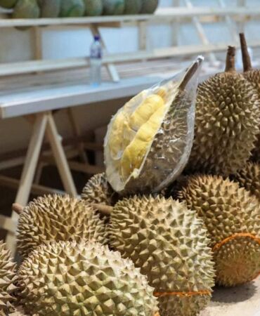 Demir deposu! Bu meyve 1 aylık demir ihtiyacınızı tek günde karşılıyor durian