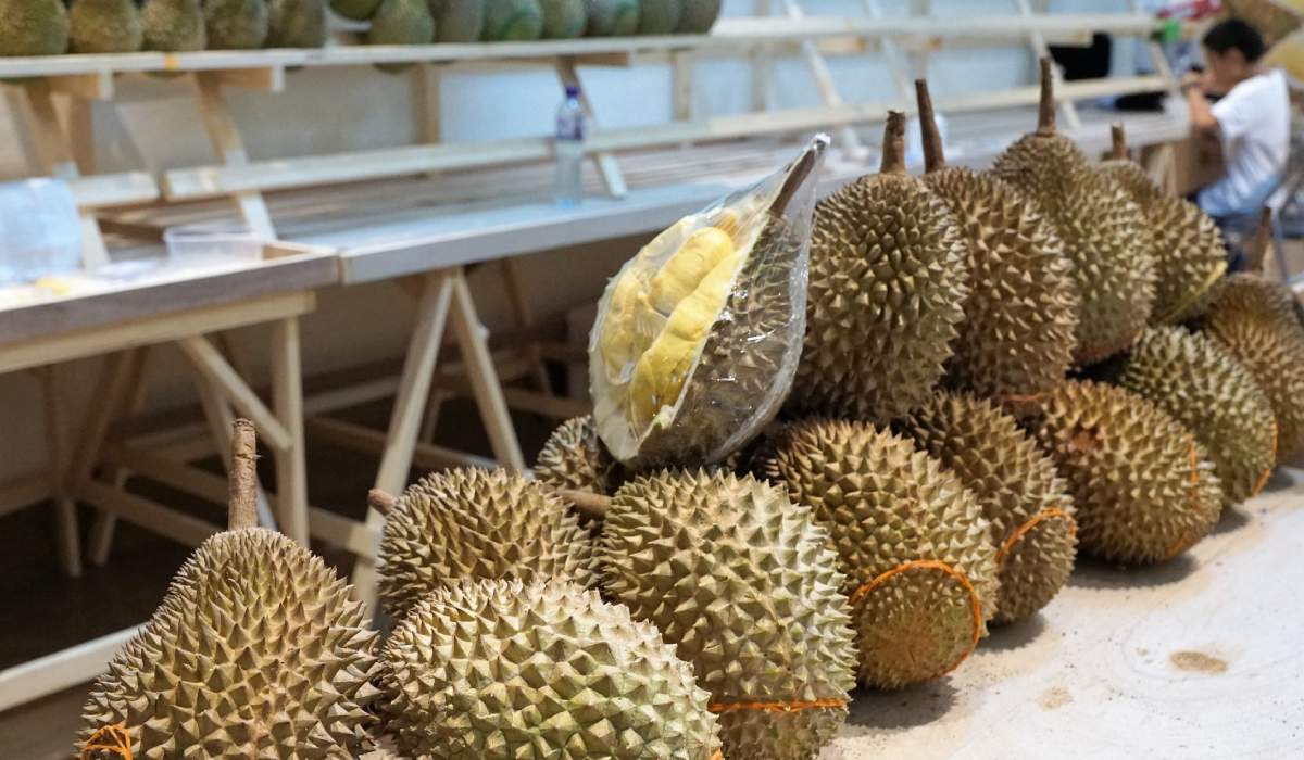Demir deposu! Bu meyve 1 aylık demir ihtiyacınızı tek günde karşılıyor durian
