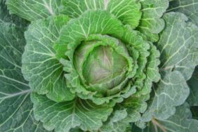 İbrahim Saraçoğlu uyardı Yiyen gün boyu acıkmıyor, karnı düzleştiriyor