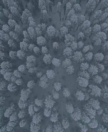 Ilgaz Dağı'ndaki orman dronla görüntülendi Kar manzarasına bir de havadan bakın! 3