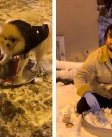 İstanbul'da kar sevinci Kardan çiğ köfte yapan da vardı, köpeğini tepsiyle kaydıran da...1 (2)