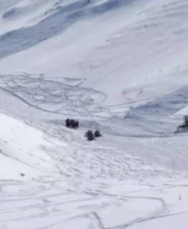 Kayakçılara kapalı alana çığ düştü! Palandöken'de tarama çalışması yapılıyor