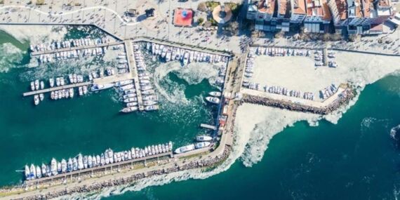 Marmara Denizi’nde alarm: Hızla artıyor!