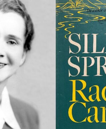Rachel Carson düzeyinde bir bilimci-aktivistten “Tarhana Osman” çıkartılırsa...