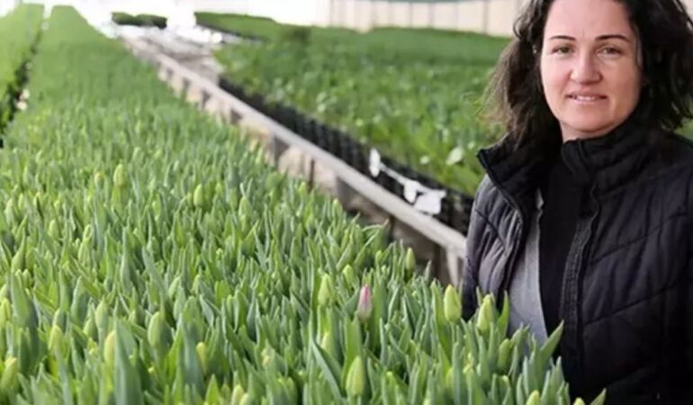 Toprağa ihtiyaç yok! Suda yetişiyor... 1 dönümde 400 bin üretim
