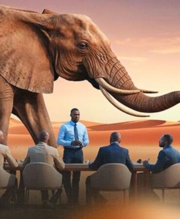 Türk turizmciler Afrika Turizm Fuarı’na hazırlanıyor