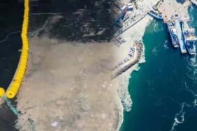 Av sezonu 1 ay erken kapandı! 'Marmara denizi ölüyor'