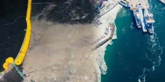 Av sezonu 1 ay erken kapandı! ‘Marmara denizi ölüyor’