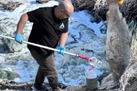 Ceyhan Nehri'ndeki balık ölümlerine ilişkin inceleme başlatıldı