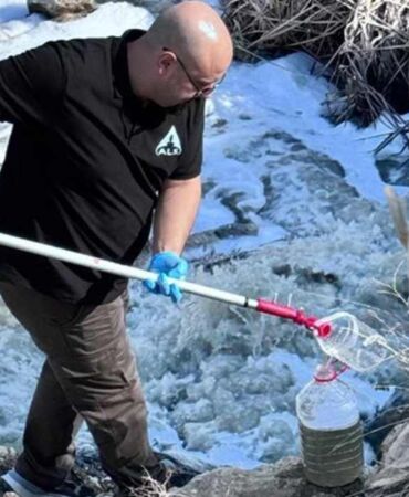 Ceyhan Nehri'ndeki balık ölümlerine ilişkin inceleme başlatıldı