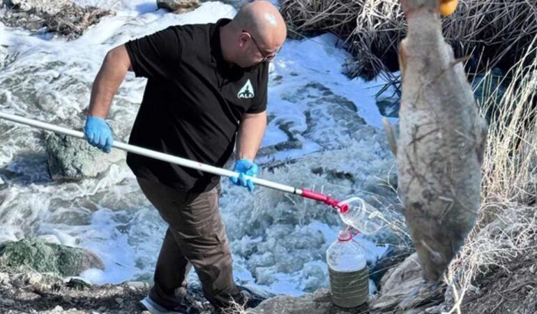 Ceyhan Nehri'ndeki balık ölümlerine ilişkin inceleme başlatıldı