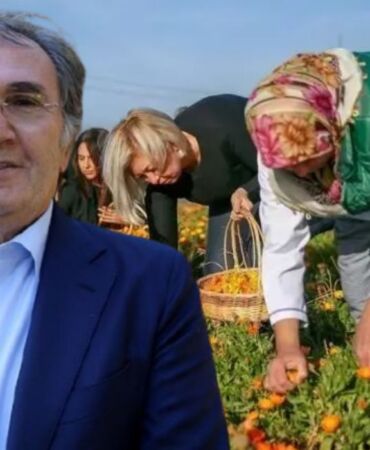 Doğanın mucize bitkisi Egzama, tırnak mantarı ve iltihaba karşı etkili