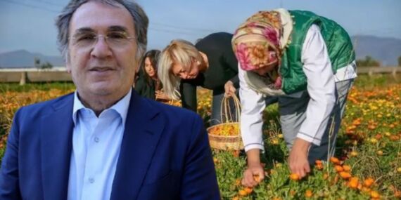 Doğanın mucize bitkisi: Egzama, tırnak mantarı ve iltihaba karşı etkili