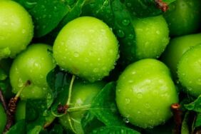 Eriğin faydaları nelerdir Erik tüketmenin avantajları ve etkileri