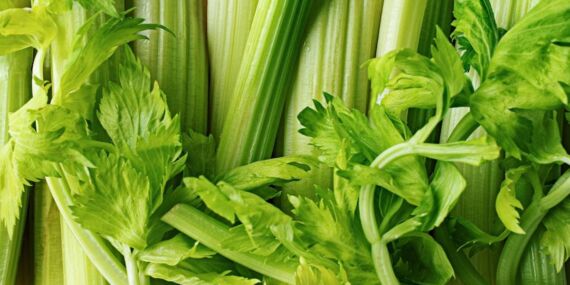 Kerevizin faydaları nelerdir? Kereviz tüketmenin avantajları ve etkileri