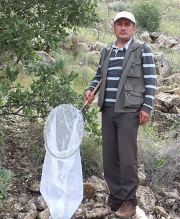 Mahmut Erbey