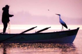 Müjde! Yaren Leylek 14. kez geri döndü Balıkçı Adem ile dostluk devam ediyor...