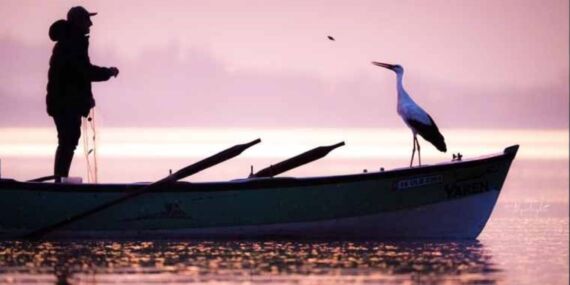 Müjde! Yaren Leylek 14. kez geri döndü
