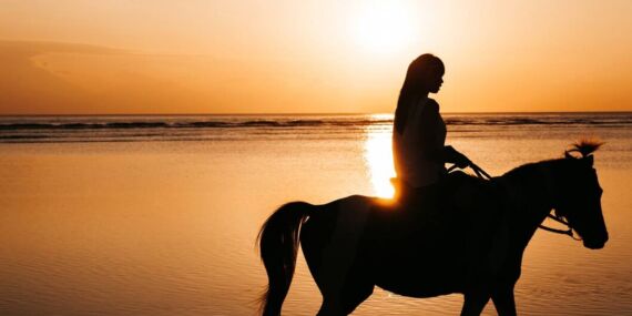 Rüyada at görmek ne anlama gelir? Güç mü, özgürlük mü?