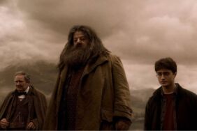 hagrid harry potter