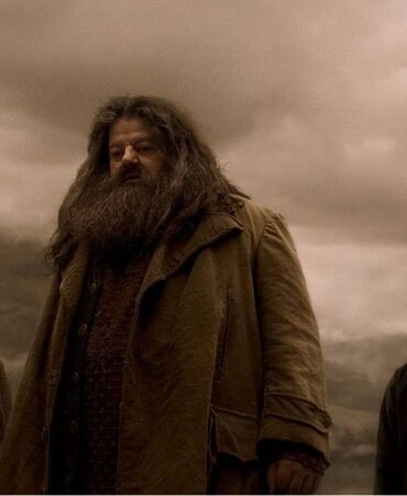 hagrid harry potter