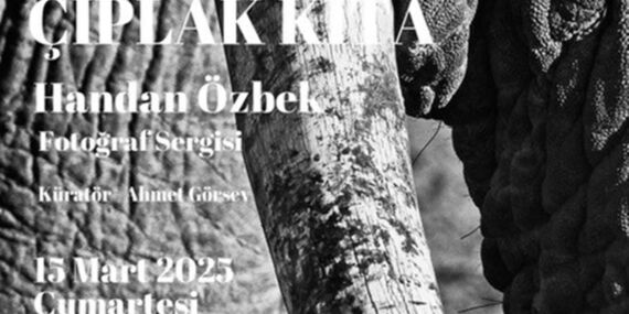 Handan Özbek’in Afrika temalı fotoğraf sergisi!