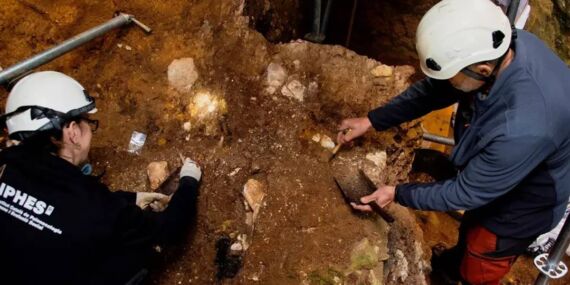 İnsanlık tarihini değiştirebilir: 1,1 milyon yıl yaşında fosil bulundu!