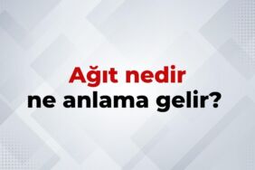 nedir (10)