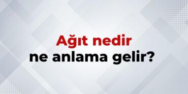 nedir (10)