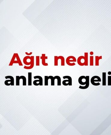 nedir (10)