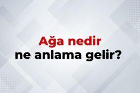 nedir (11)