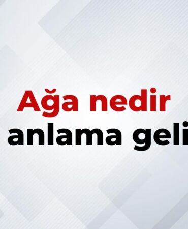 nedir (11)