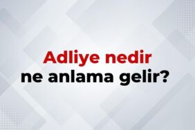 nedir (11)