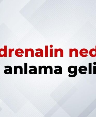nedir (12)