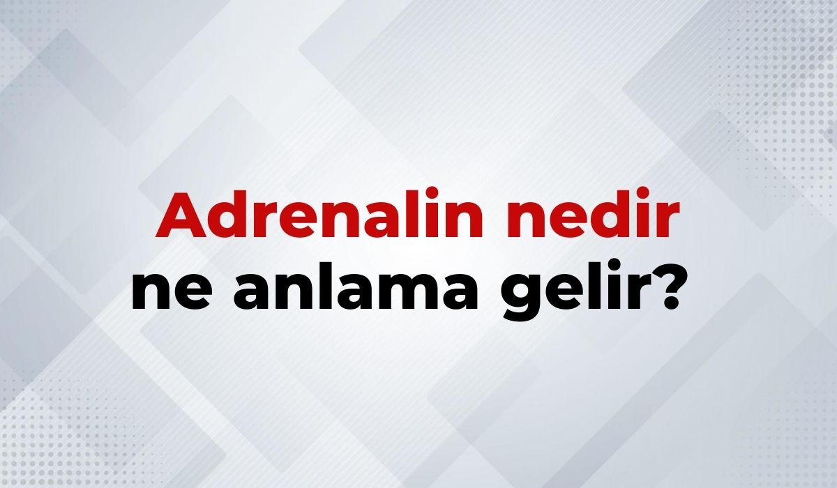 nedir (12)
