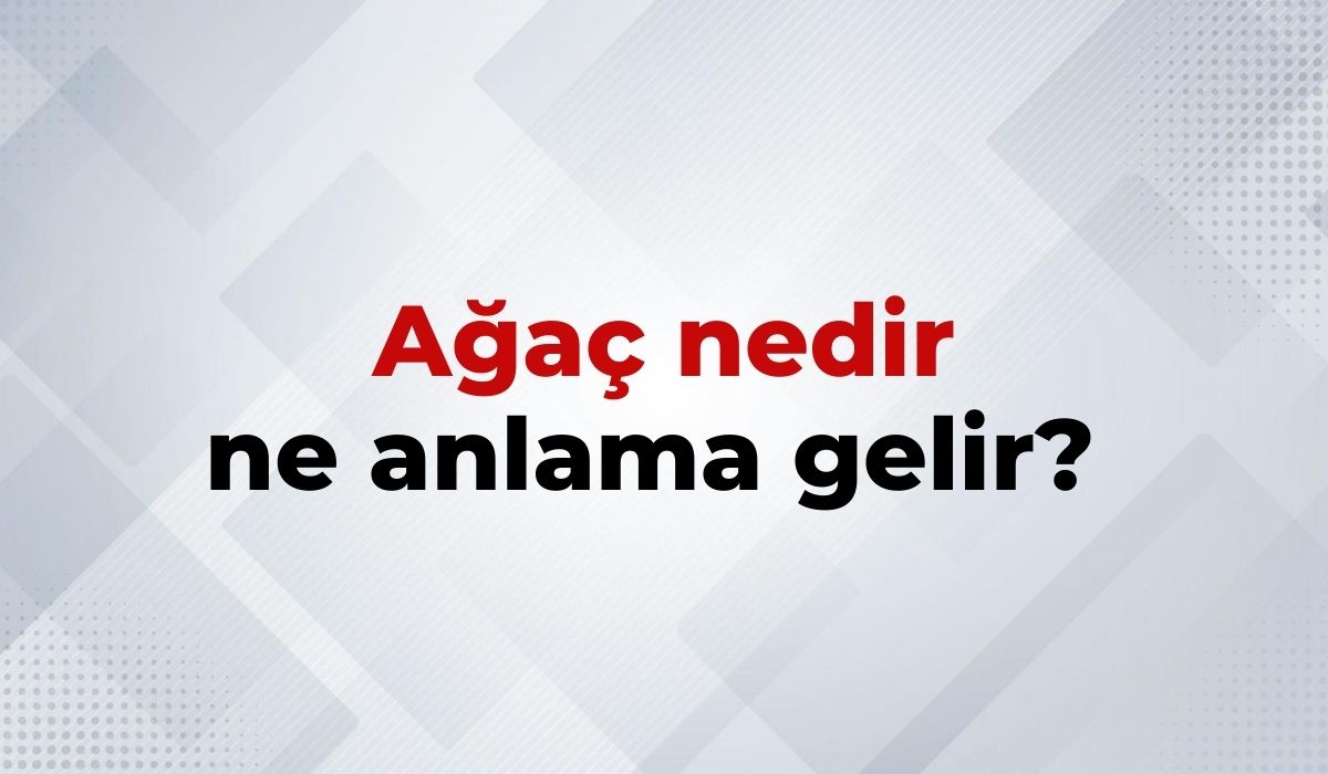 nedir (13)
