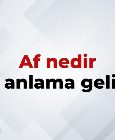 nedir (13)