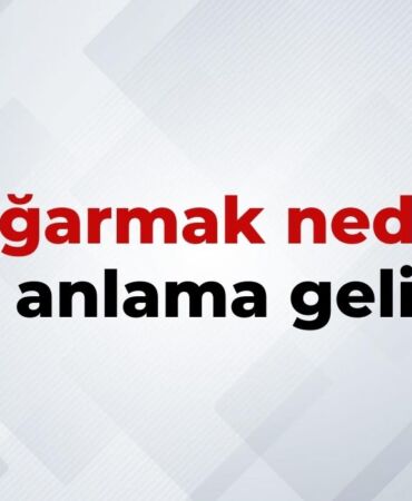 nedir (14)