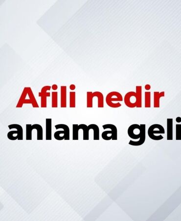 nedir (15)