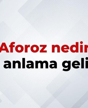 nedir (17)